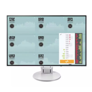 Monitor Eizo FlexScan EV2456